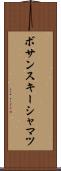 ボサンスキーシャマツ Scroll