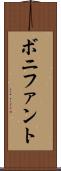 ボニファント Scroll