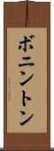 ボニントン Scroll