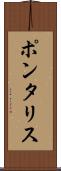 ポンタリス Scroll