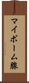 マイボーム腺 Scroll
