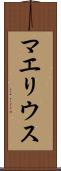マエリウス Scroll