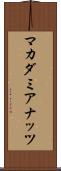 マカダミアナッツ Scroll