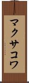 マクサコワ Scroll