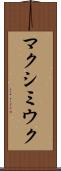 マクシミウク Scroll