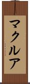 マクルア Scroll