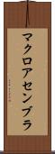 マクロ・アセンブラ Scroll