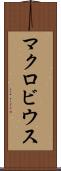 マクロビウス Scroll