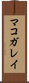 マコガレイ Scroll