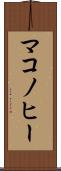 マコノヒー Scroll
