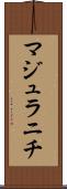 マジュラニチ Scroll