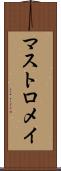 マストロメイ Scroll
