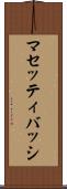 マセッティバッシ Scroll