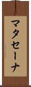 マタセーナ Scroll