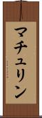 マチュリン Scroll