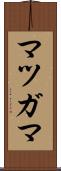 マツガマ Scroll