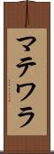 マテワラ Scroll
