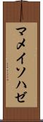 マメイソハゼ Scroll
