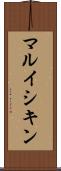 マルイシキン Scroll