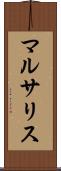 マルサリス Scroll