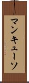 マンキューソ Scroll