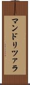 マンドリツァラ Scroll