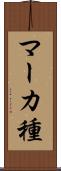 マーカ種 Scroll