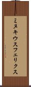 ミヌキウスフェリクス Scroll