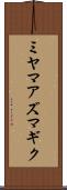 ミヤマアズマギク Scroll