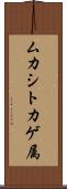 ムカシトカゲ属 Scroll