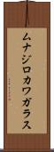 ムナジロカワガラス Scroll