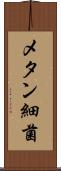 メタン細菌 Scroll