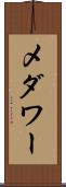 メダワー Scroll