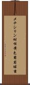 メチシリン耐性黄色葡萄球菌 Scroll