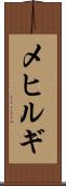 メヒルギ Scroll