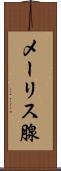 メーリス腺 Scroll