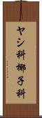 ヤシ科 Scroll
