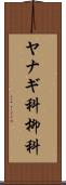 ヤナギ科 Scroll