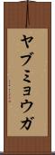 ヤブミョウガ Scroll