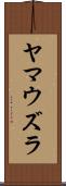 ヤマウズラ Scroll