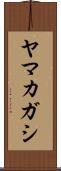 ヤマカガシ Scroll