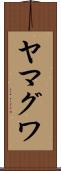 ヤマグワ Scroll
