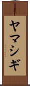 ヤマシギ Scroll