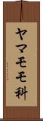 ヤマモモ科 Scroll