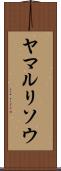 ヤマルリソウ Scroll