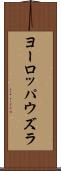 ヨーロッパウズラ Scroll