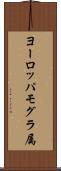 ヨーロッパモグラ属 Scroll