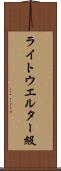ライトウエルター級 Scroll