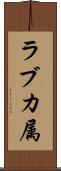 ラブカ属 Scroll