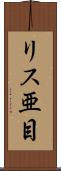 リス亜目 Scroll